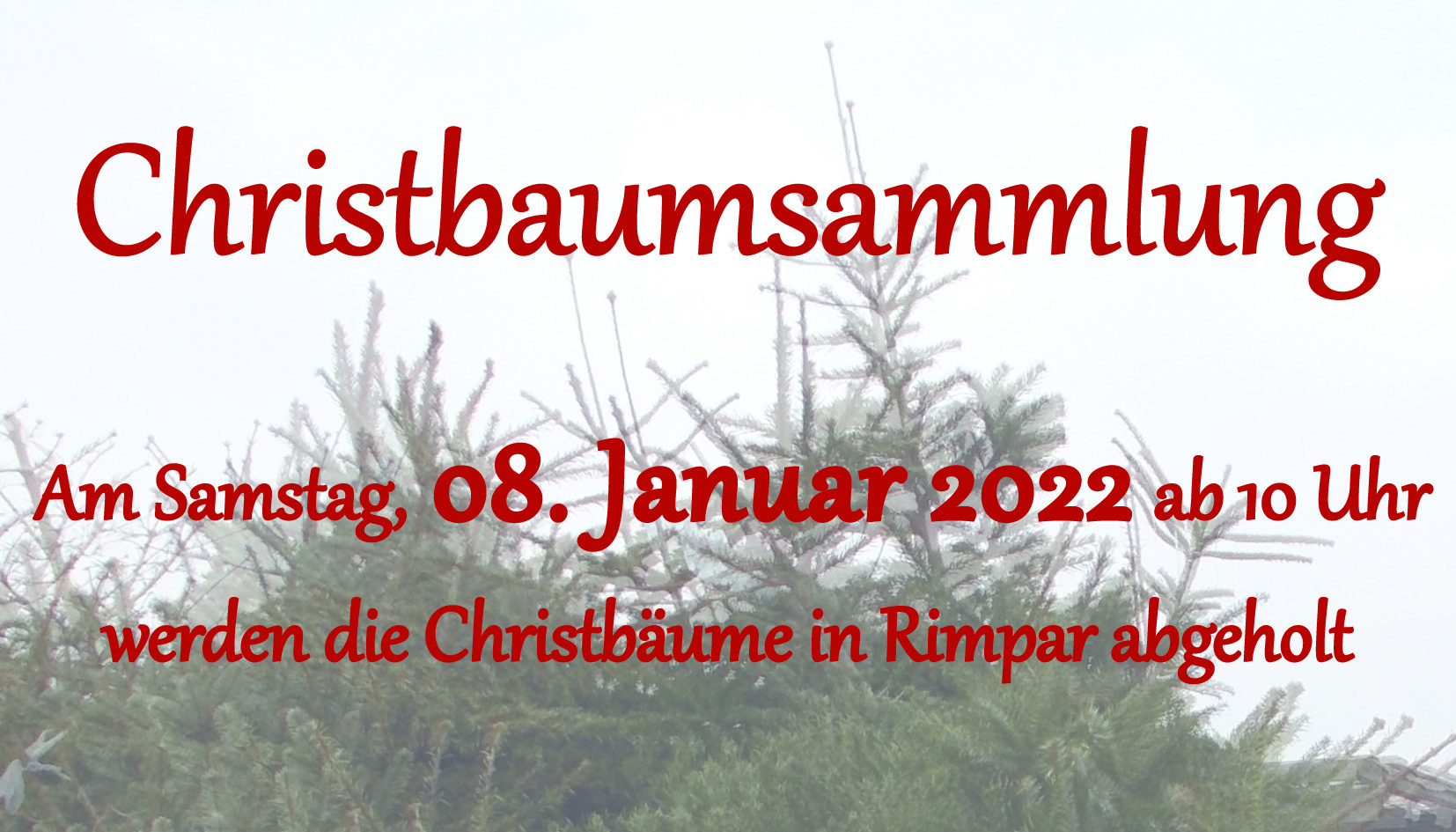 Christbaumsammlung am 08. Januar 2022 im Rimpar